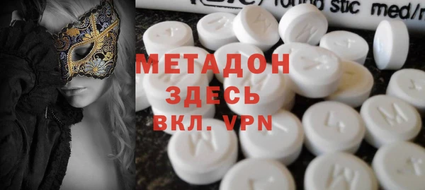 прущие грибы Елабуга