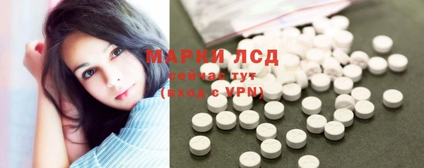 прущие грибы Елабуга