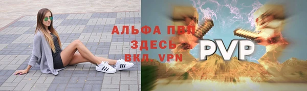 прущие грибы Елабуга