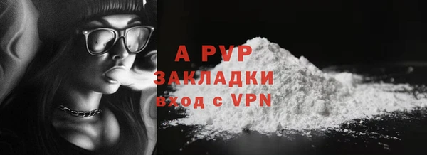 прущие грибы Елабуга