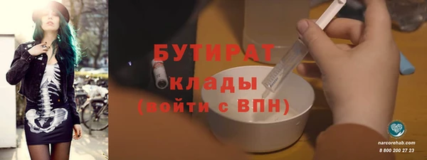 прущие грибы Елабуга