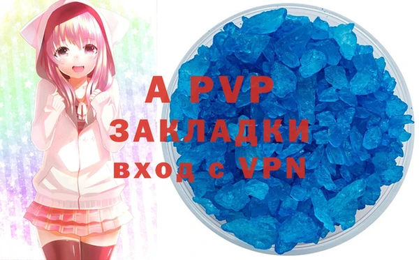 прущие грибы Елабуга