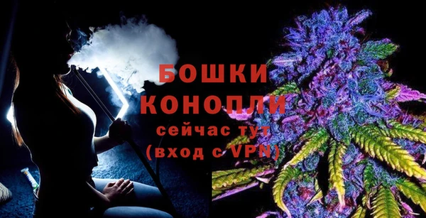 бошки Дмитров