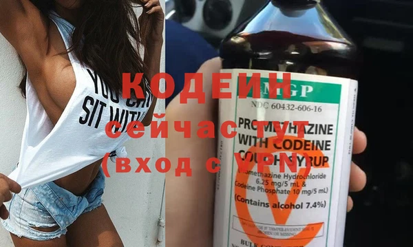 соль ск Дмитриев