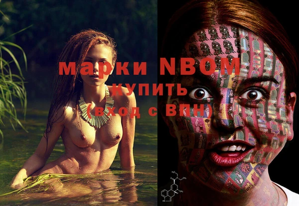прущие грибы Елабуга