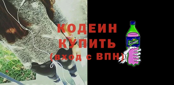 прущие грибы Елабуга