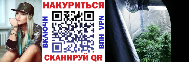 Купить закладки  Инсар  Шишки марихуана Amnesia 